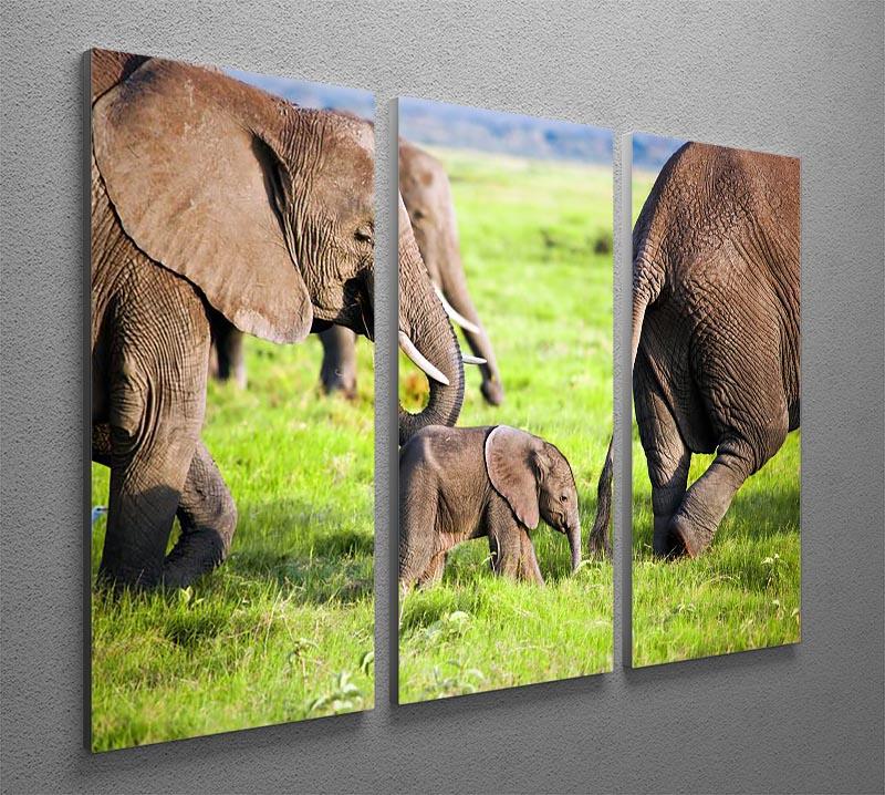 Elephants family on African savanna 3 Split Panel Canvas Print - Canvas Art Rocks - 2