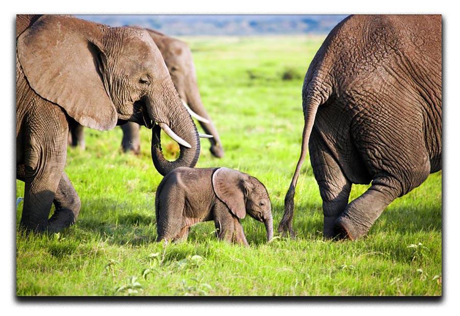 Elephants family on African savanna Canvas Print or Poster - Canvas Art Rocks - 1