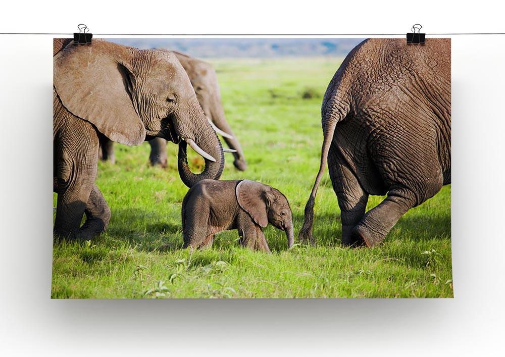 Elephants family on African savanna Canvas Print or Poster - Canvas Art Rocks - 2