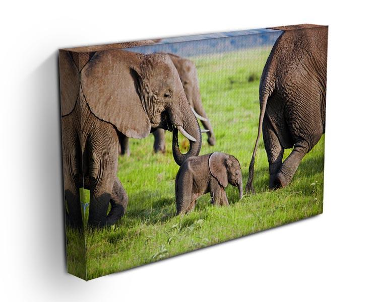 Elephants family on African savanna Canvas Print or Poster - Canvas Art Rocks - 3