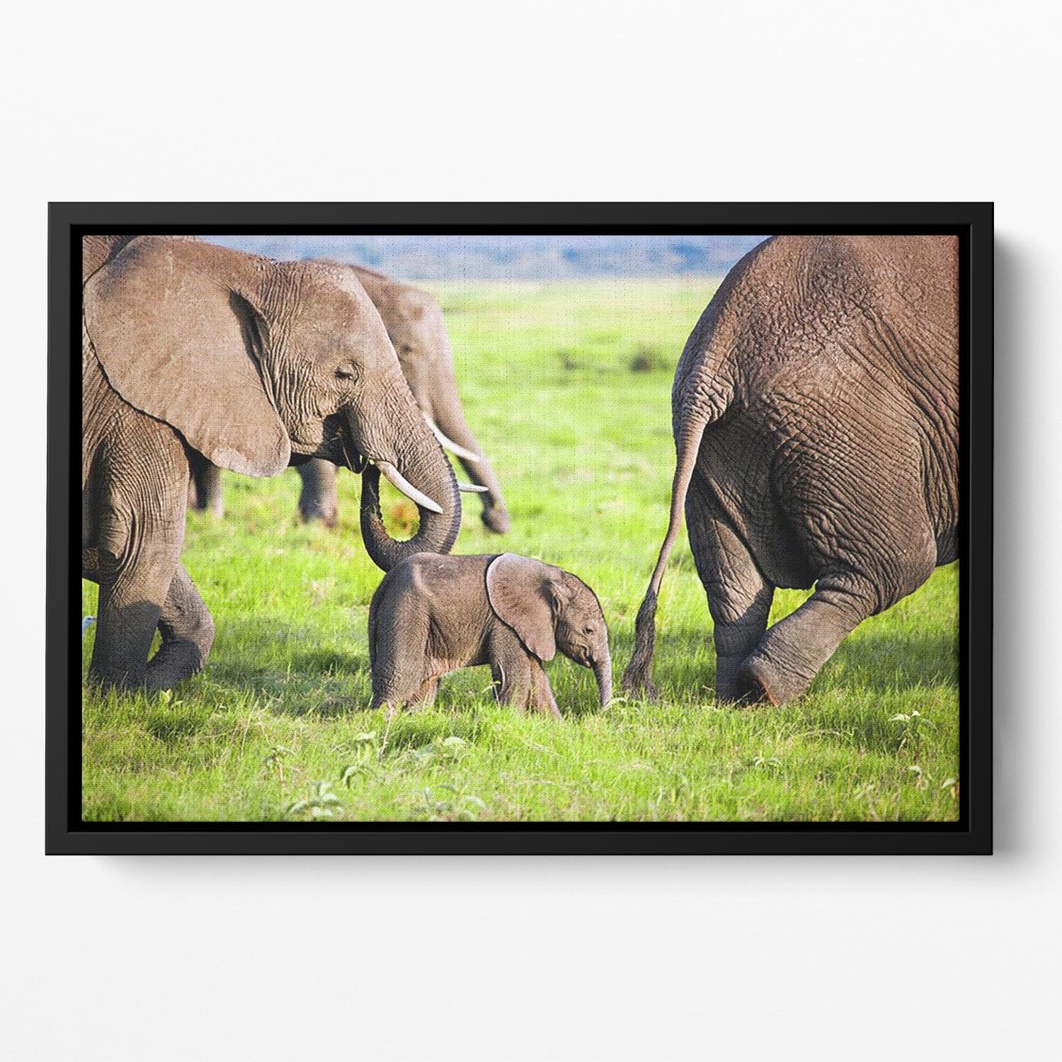Elephants family on African savanna Floating Framed Canvas - Canvas Art Rocks - 2