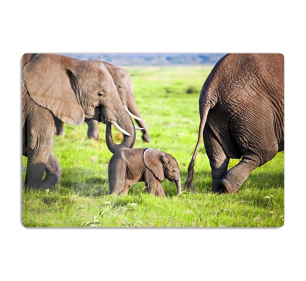 Elephants family on African savanna HD Metal Print - Canvas Art Rocks - 1