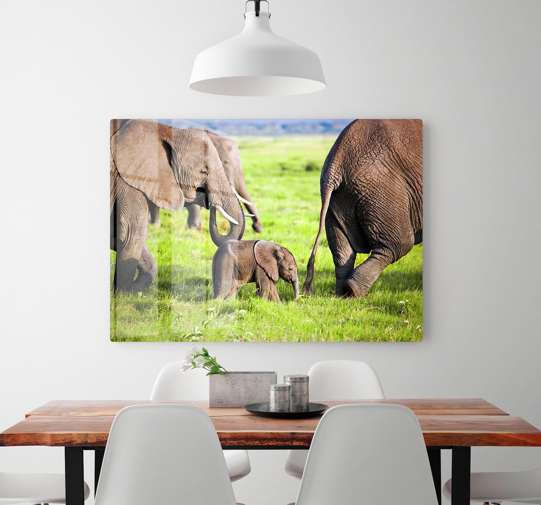 Elephants family on African savanna HD Metal Print - Canvas Art Rocks - 2