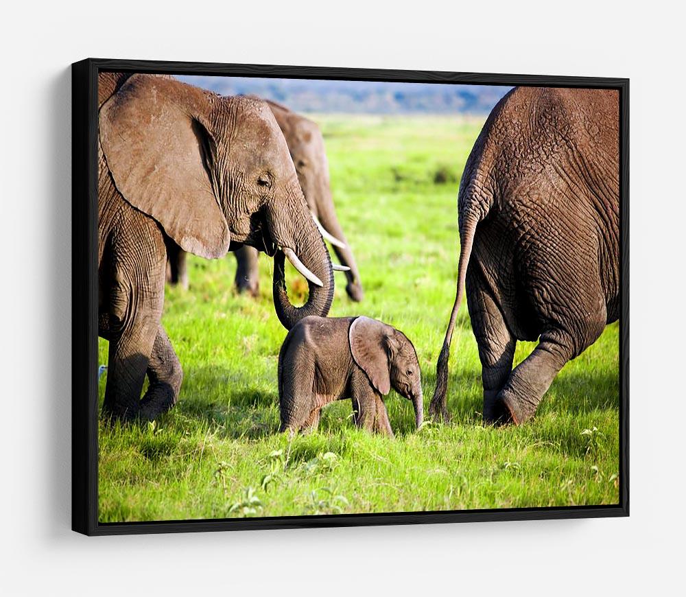 Elephants family on African savanna HD Metal Print - Canvas Art Rocks - 6