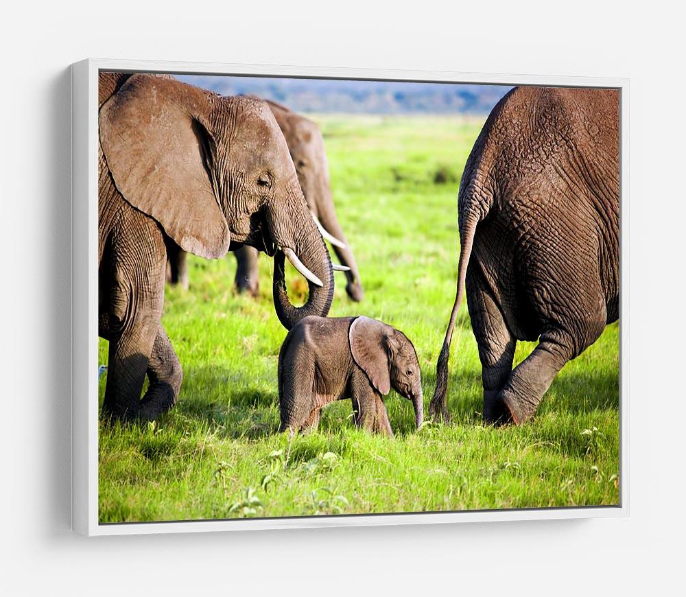 Elephants family on African savanna HD Metal Print - Canvas Art Rocks - 7