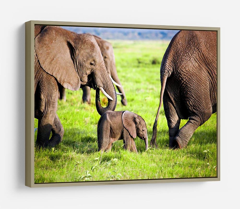 Elephants family on African savanna HD Metal Print - Canvas Art Rocks - 8
