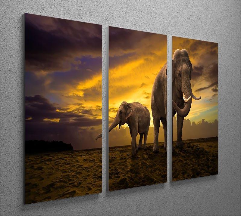 Elephants family on sunset 3 Split Panel Canvas Print - Canvas Art Rocks - 2