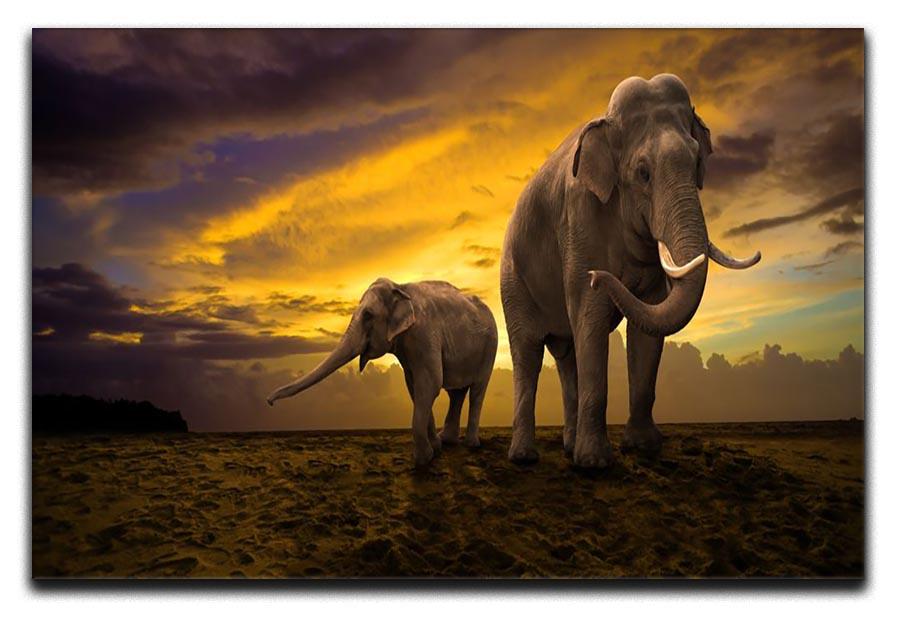 Elephants family on sunset Canvas Print or Poster - Canvas Art Rocks - 1