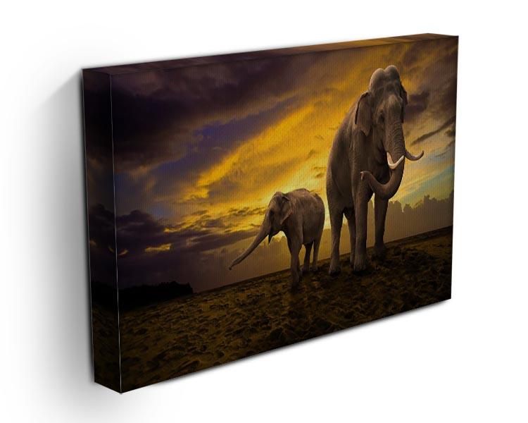 Elephants family on sunset Canvas Print or Poster - Canvas Art Rocks - 3