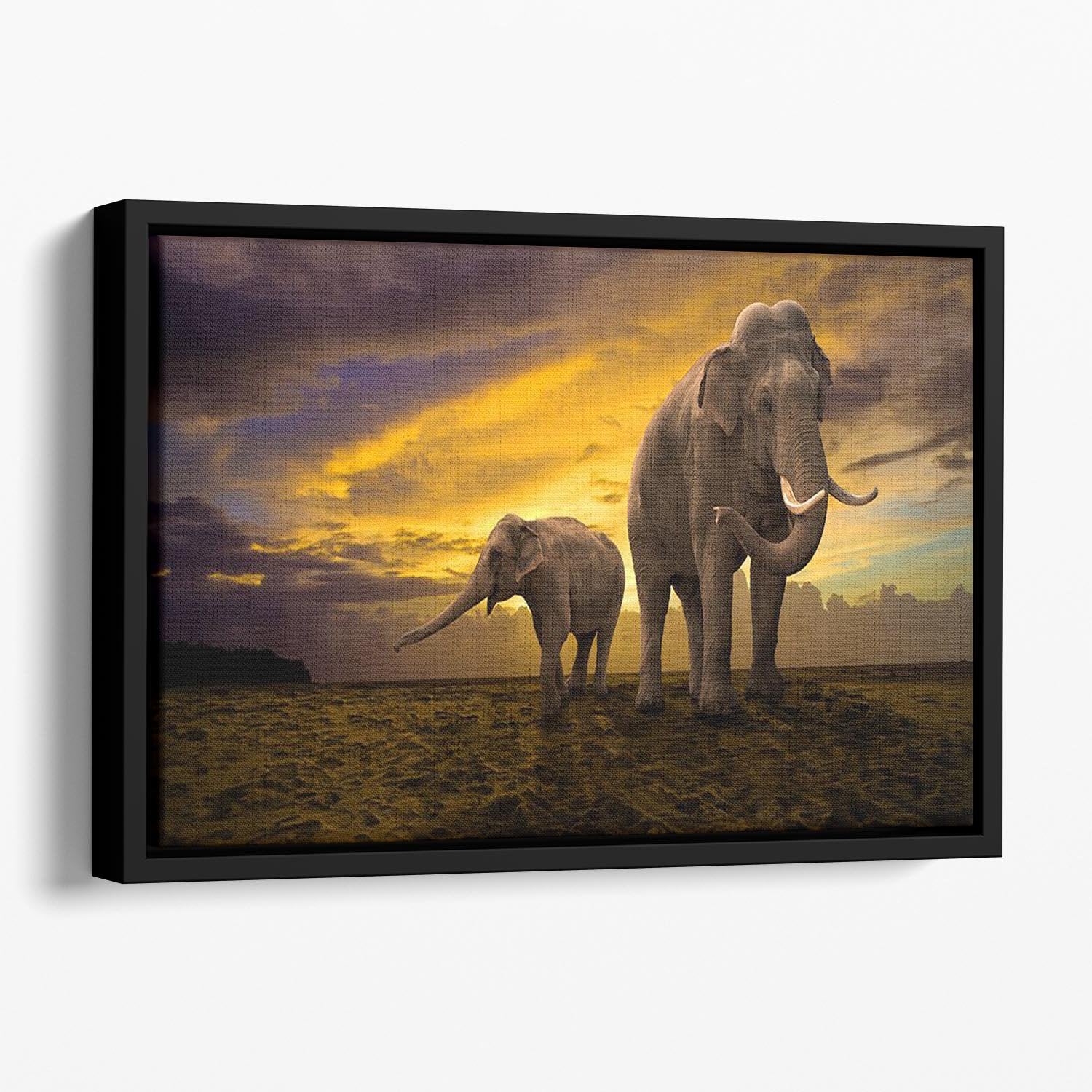 Elephants family on sunset Floating Framed Canvas - Canvas Art Rocks - 1