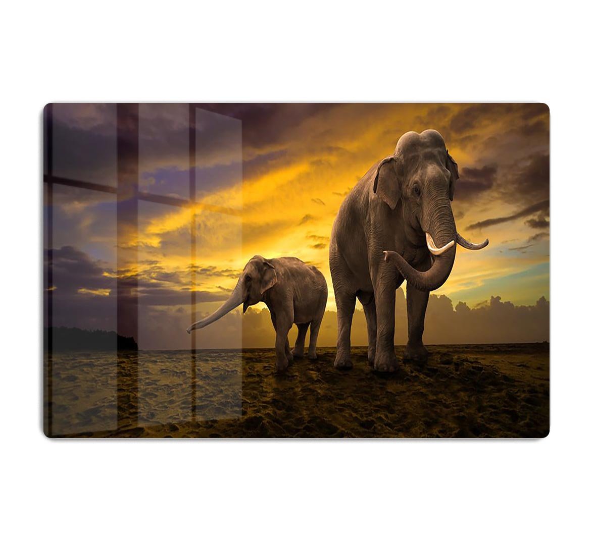Elephants family on sunset HD Metal Print - Canvas Art Rocks - 1