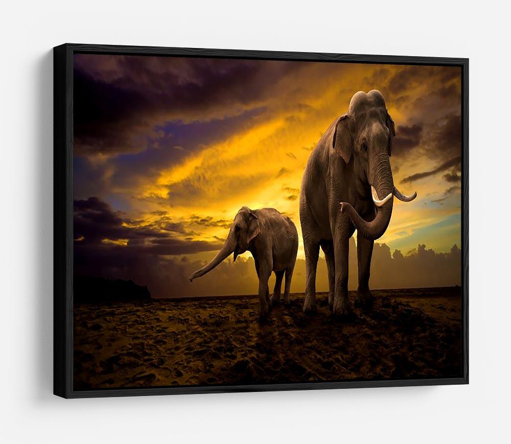 Elephants family on sunset HD Metal Print - Canvas Art Rocks - 6