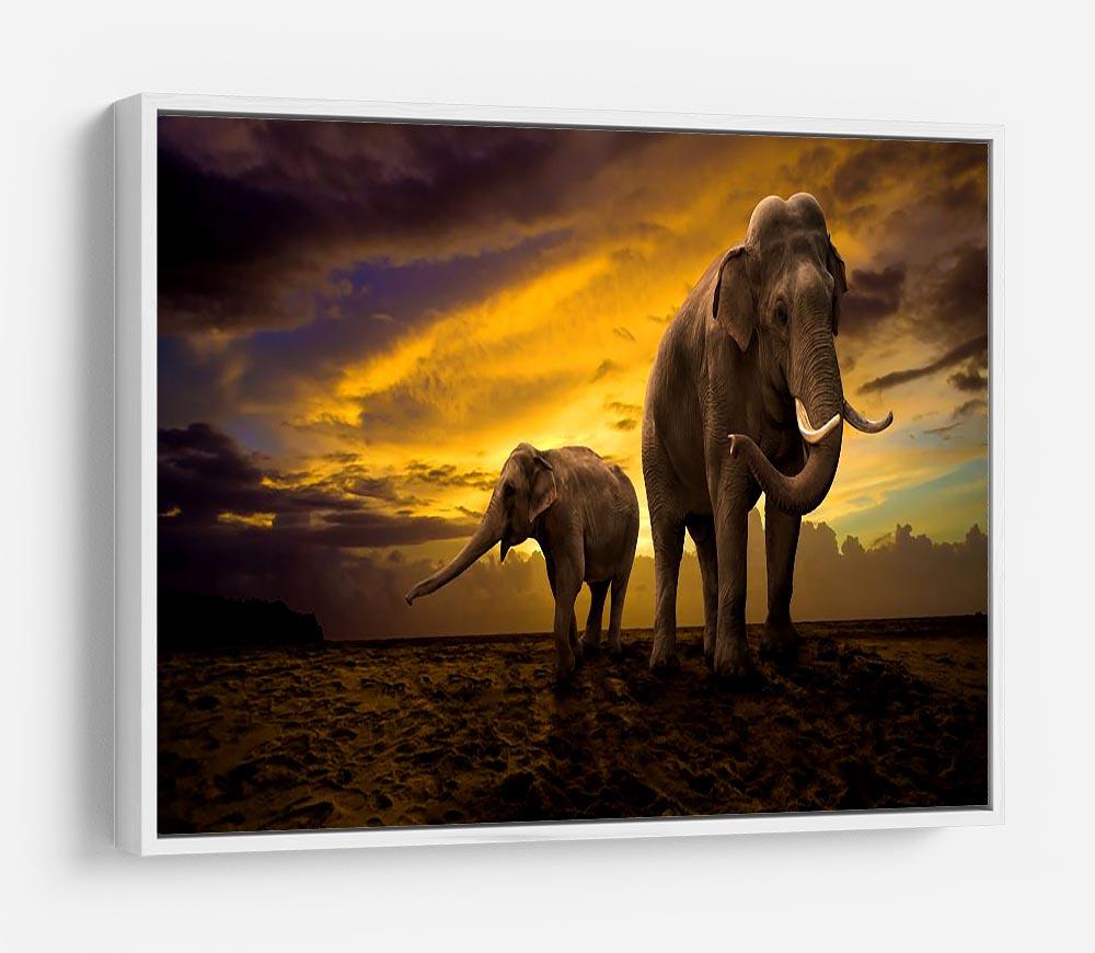 Elephants family on sunset HD Metal Print - Canvas Art Rocks - 7