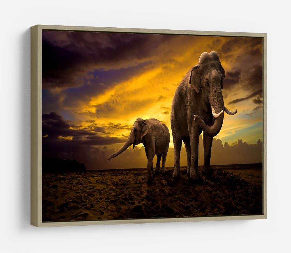 Elephants family on sunset HD Metal Print - Canvas Art Rocks - 8