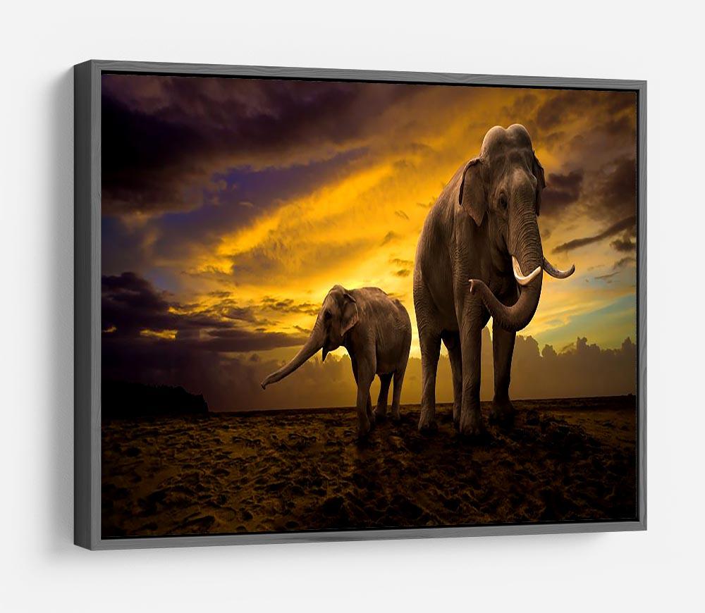 Elephants family on sunset HD Metal Print - Canvas Art Rocks - 9