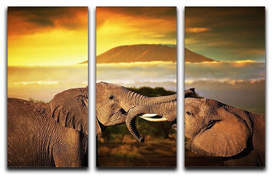 Elephants playing with their trunks 3 Split Panel Canvas Print - Canvas Art Rocks - 1