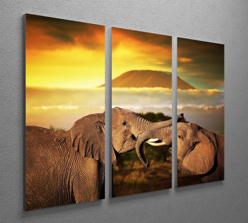 Elephants playing with their trunks 3 Split Panel Canvas Print - Canvas Art Rocks - 2