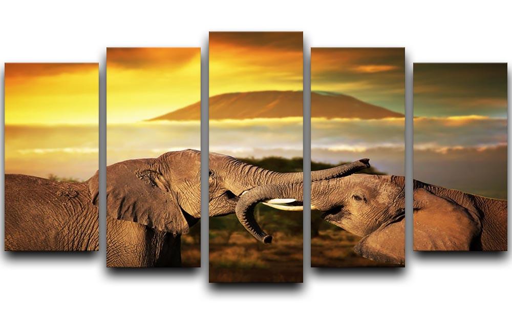 Elephants playing with their trunks 5 Split Panel Canvas - Canvas Art Rocks - 1