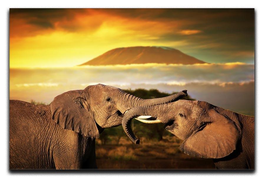 Elephants playing with their trunks Canvas Print or Poster - Canvas Art Rocks - 1