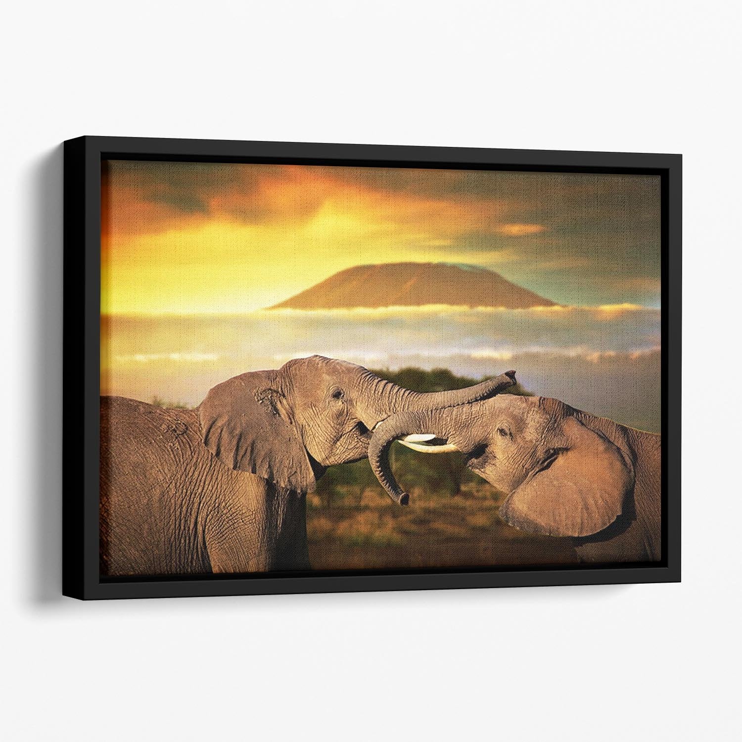 Elephants playing with their trunks Floating Framed Canvas - Canvas Art Rocks - 1