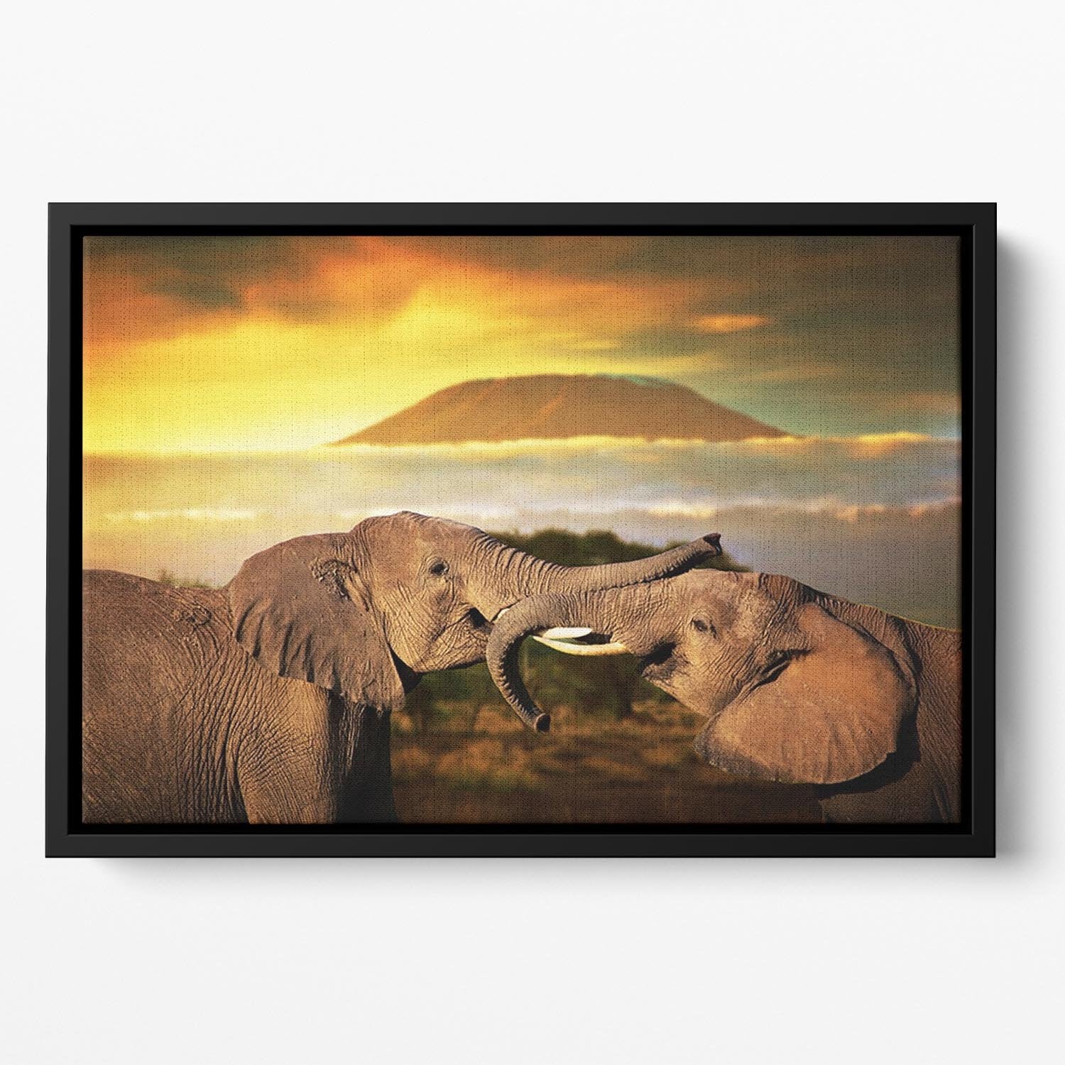 Elephants playing with their trunks Floating Framed Canvas - Canvas Art Rocks - 2