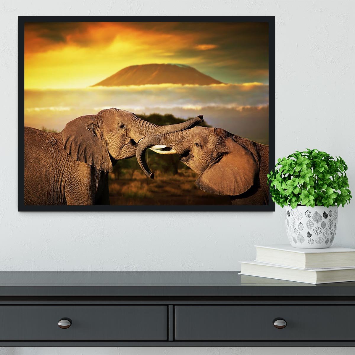 Elephants playing with their trunks Framed Print - Canvas Art Rocks - 2