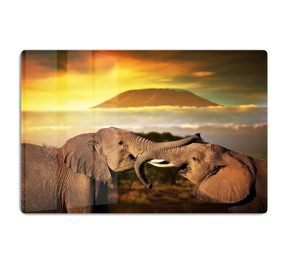 Elephants playing with their trunks HD Metal Print - Canvas Art Rocks - 1