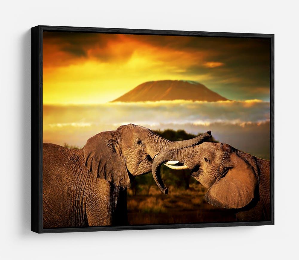 Elephants playing with their trunks HD Metal Print - Canvas Art Rocks - 6