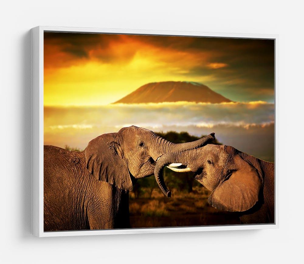 Elephants playing with their trunks HD Metal Print - Canvas Art Rocks - 7