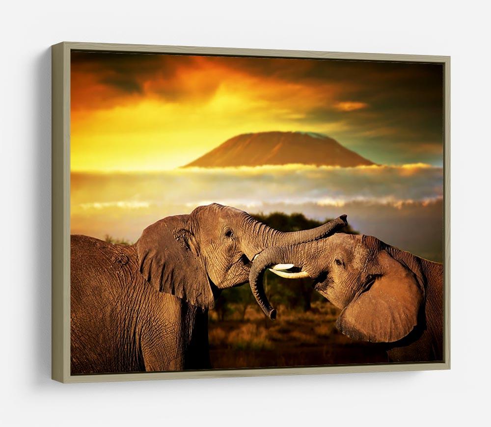 Elephants playing with their trunks HD Metal Print - Canvas Art Rocks - 8