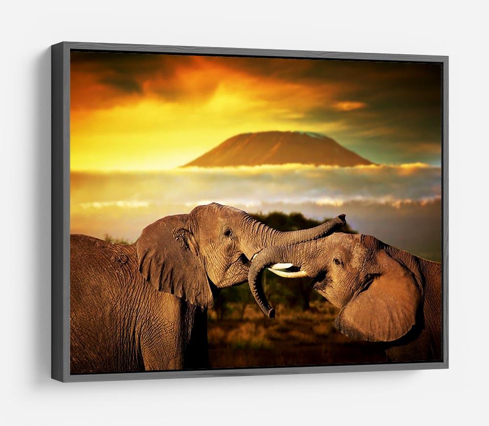 Elephants playing with their trunks HD Metal Print - Canvas Art Rocks - 9