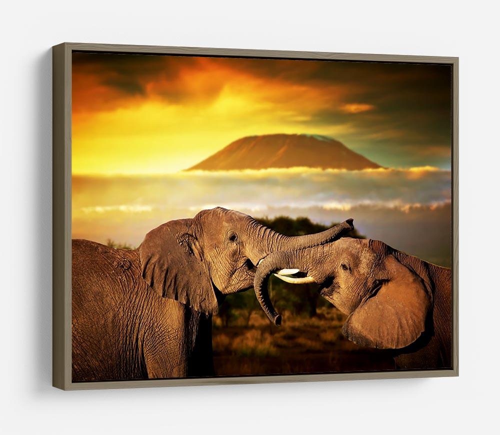 Elephants playing with their trunks HD Metal Print - Canvas Art Rocks - 10