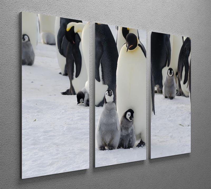 Emperor Penguin Parent and Chicks 3 Split Panel Canvas Print - Canvas Art Rocks - 2