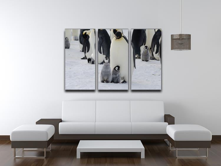 Emperor Penguin Parent and Chicks 3 Split Panel Canvas Print - Canvas Art Rocks - 3