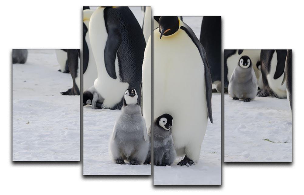 Emperor Penguin Parent and Chicks 4 Split Panel Canvas - Canvas Art Rocks - 1