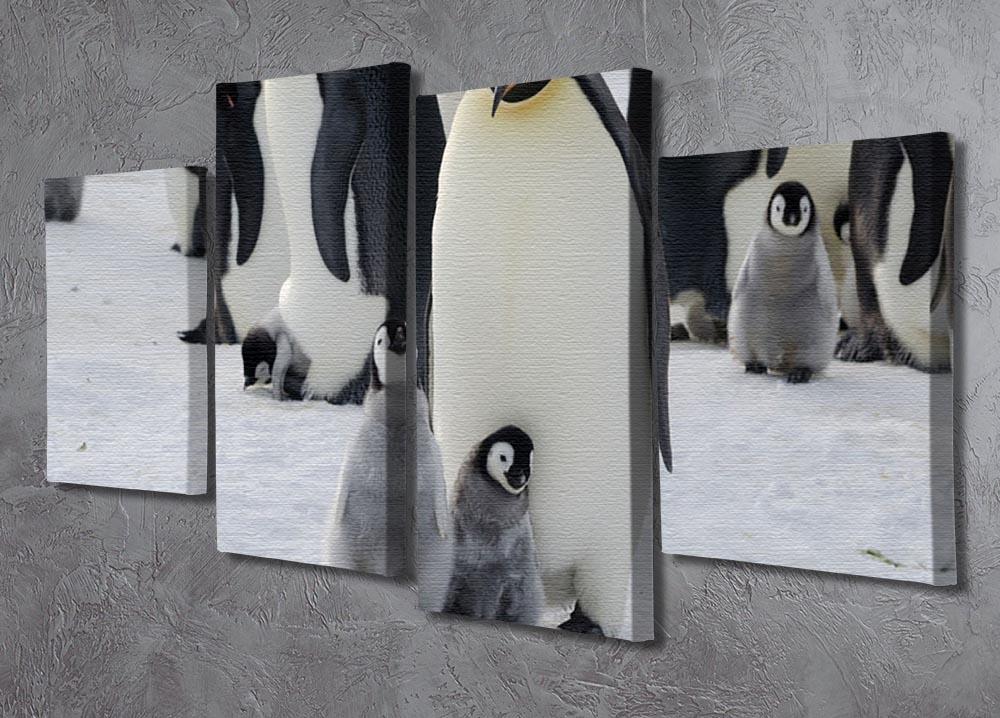 Emperor Penguin Parent and Chicks 4 Split Panel Canvas - Canvas Art Rocks - 2