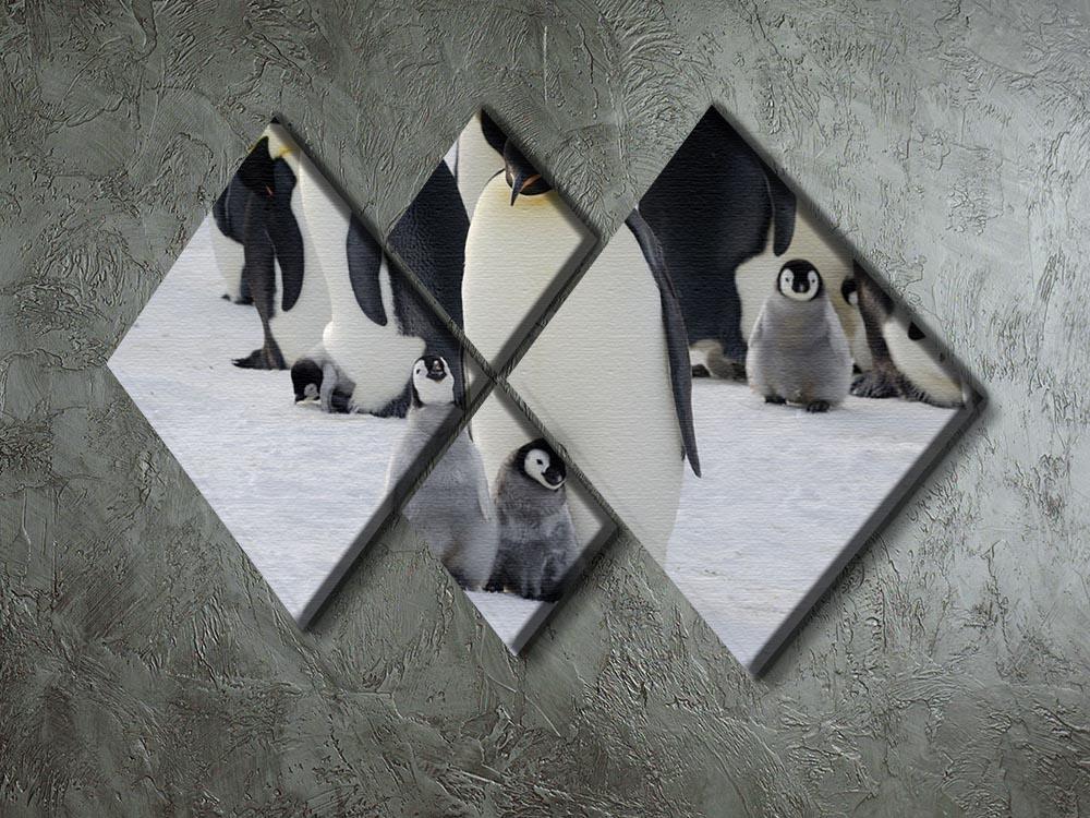 Emperor Penguin Parent and Chicks 4 Square Multi Panel Canvas - Canvas Art Rocks - 2