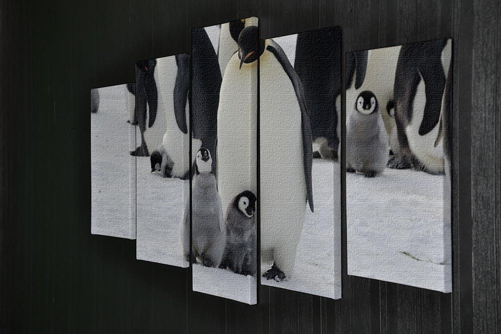 Emperor Penguin Parent and Chicks 5 Split Panel Canvas - Canvas Art Rocks - 2