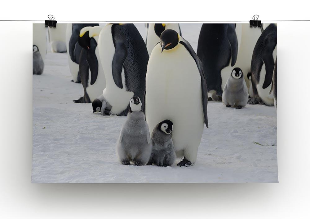 Emperor Penguin Parent and Chicks Canvas Print or Poster - Canvas Art Rocks - 2