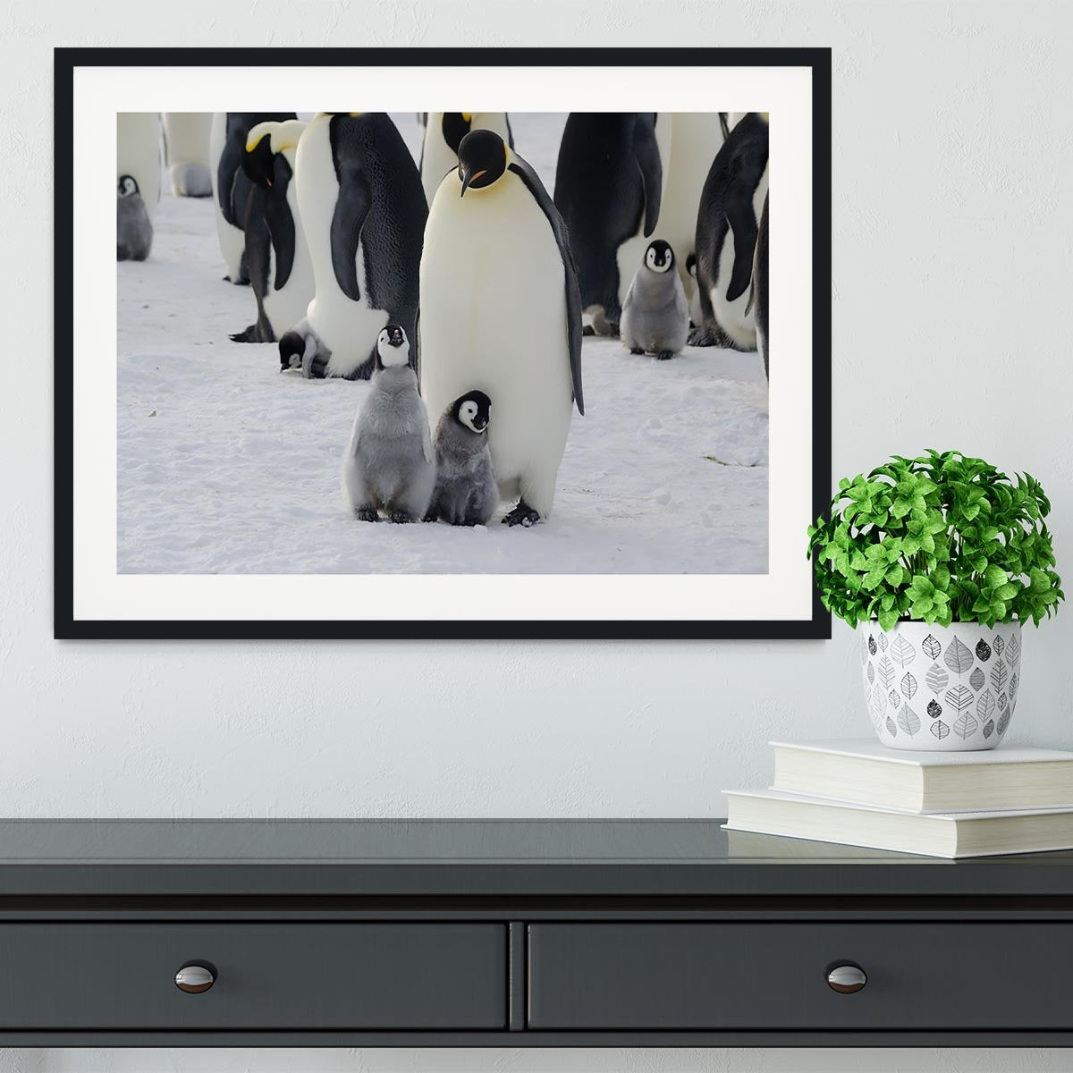 Emperor Penguin Parent and Chicks Framed Print - Canvas Art Rocks - 1