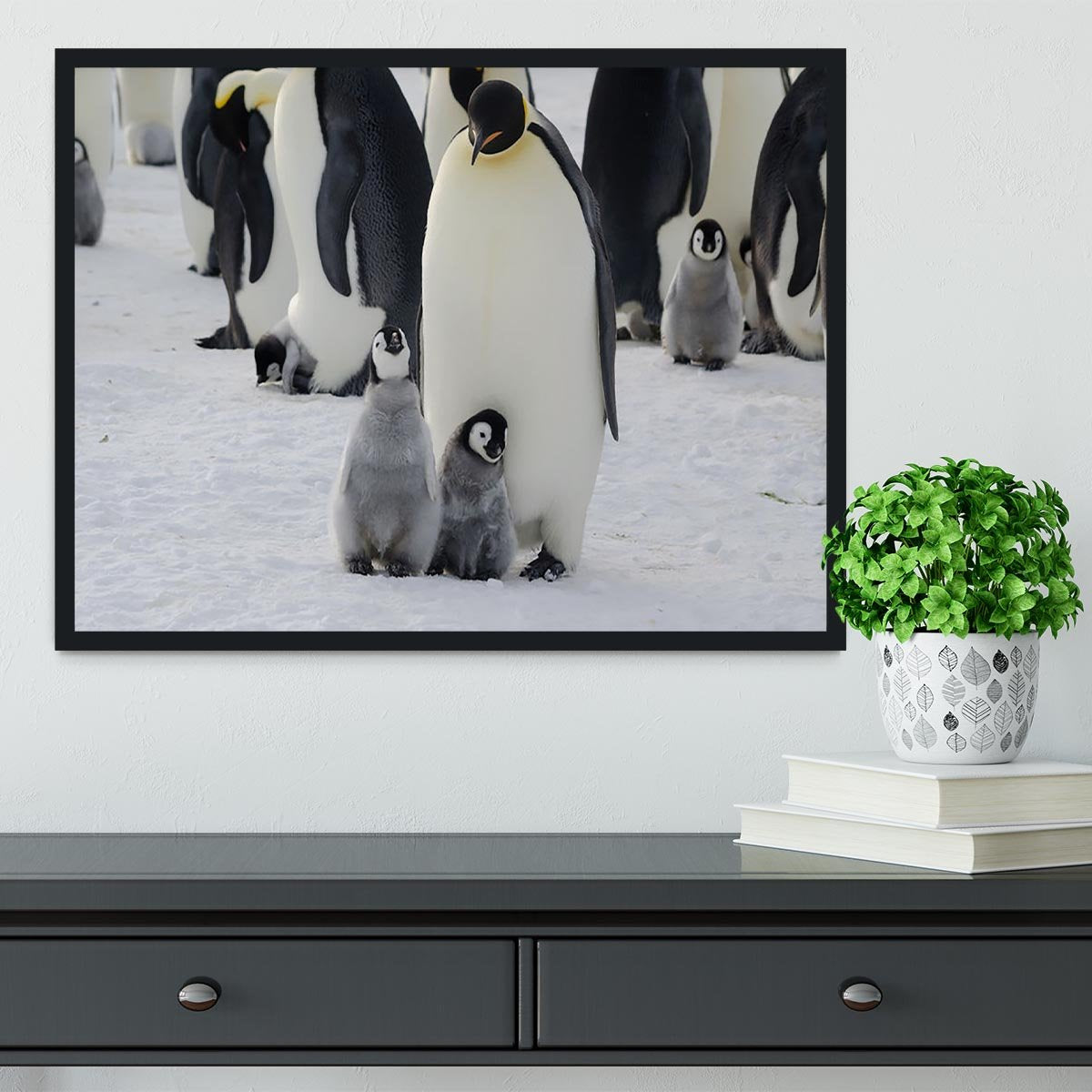 Emperor Penguin Parent and Chicks Framed Print - Canvas Art Rocks - 2