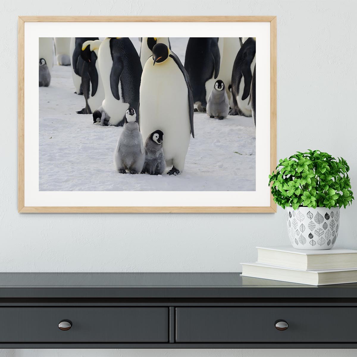 Emperor Penguin Parent and Chicks Framed Print - Canvas Art Rocks - 3