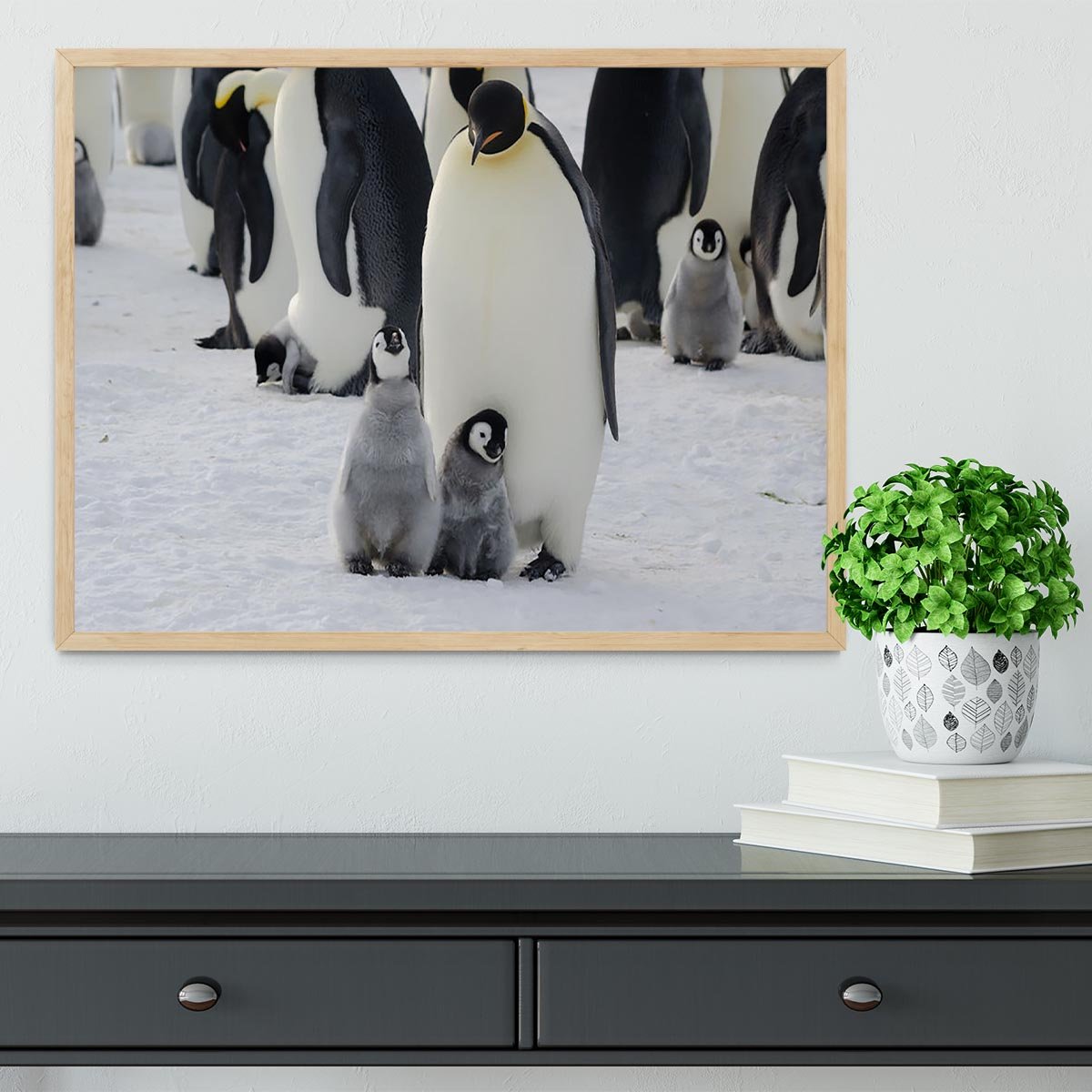 Emperor Penguin Parent and Chicks Framed Print - Canvas Art Rocks - 4