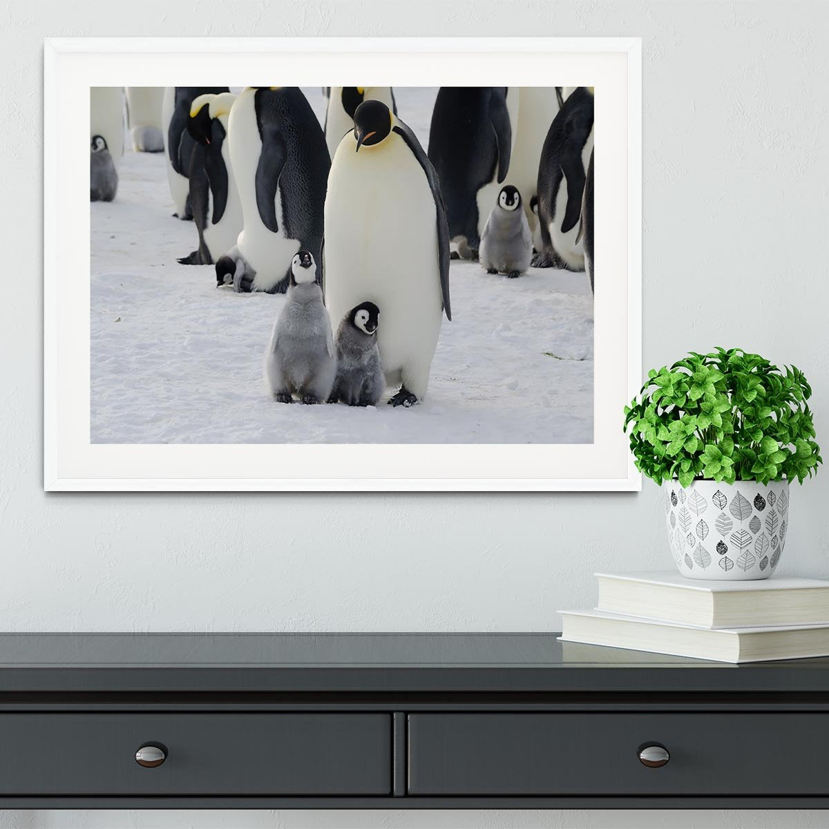 Emperor Penguin Parent and Chicks Framed Print - Canvas Art Rocks - 5