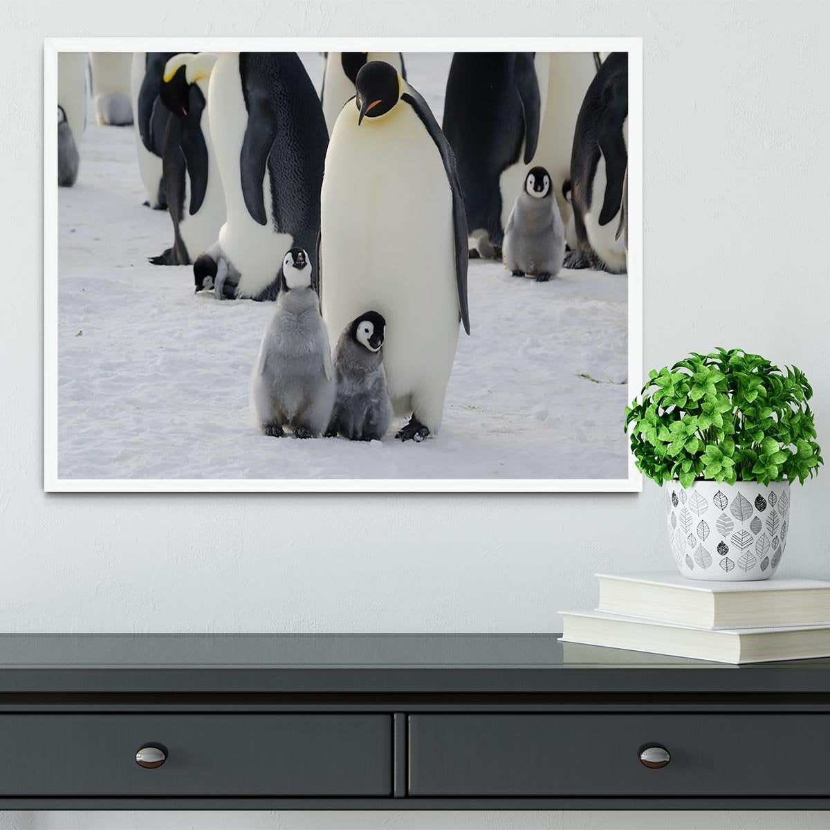 Emperor Penguin Parent and Chicks Framed Print - Canvas Art Rocks -6