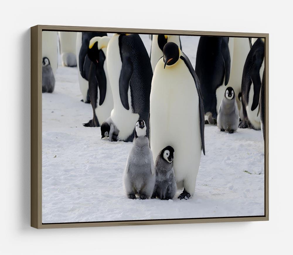 Emperor Penguin Parent and Chicks HD Metal Print - Canvas Art Rocks - 10
