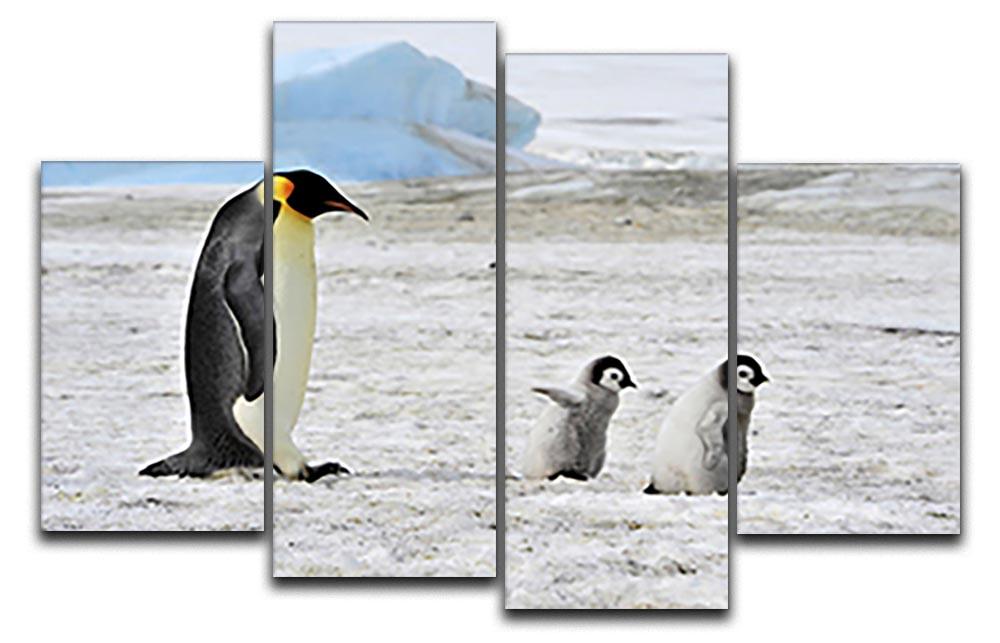 Emperor Penguin with two chicks in Antarctica 4 Split Panel Canvas - Canvas Art Rocks - 1