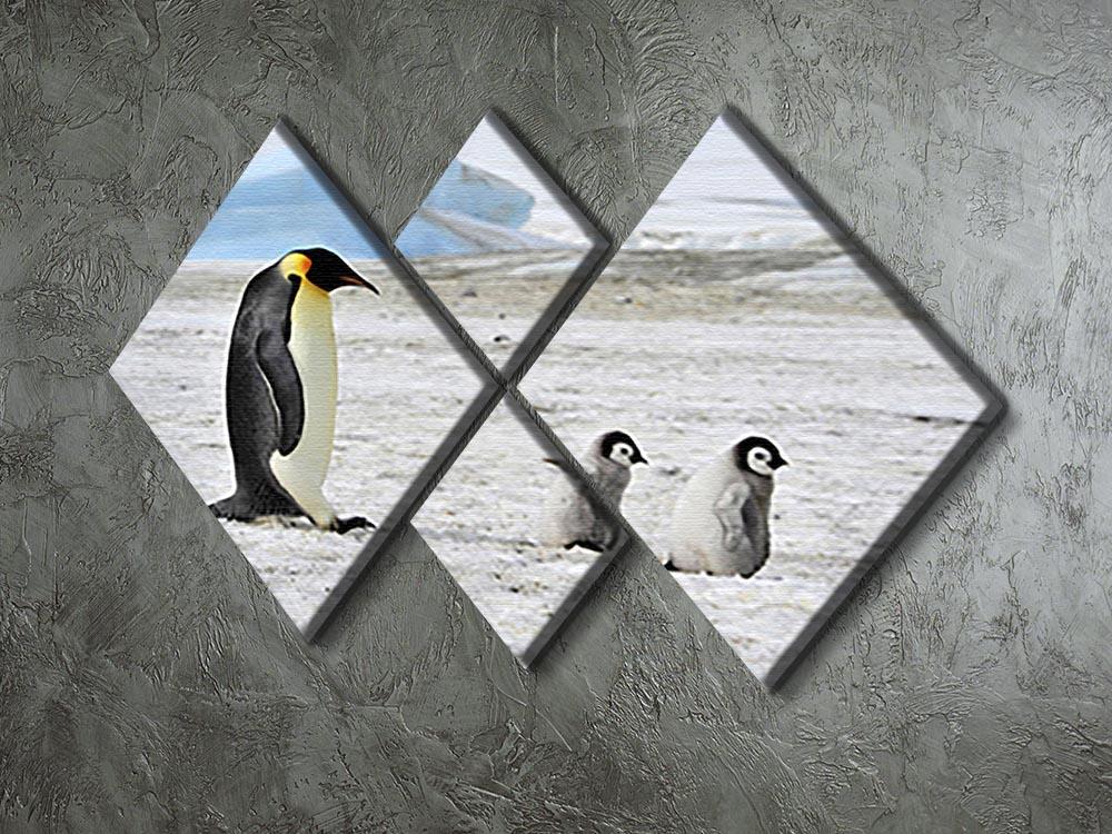 Emperor Penguin with two chicks in Antarctica 4 Square Multi Panel Canvas - Canvas Art Rocks - 2