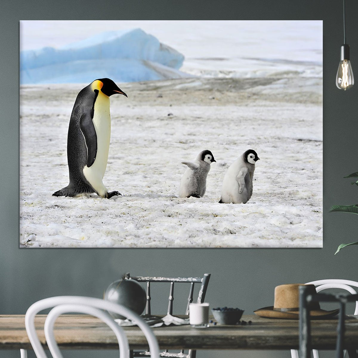 Emperor Penguin with two chicks in Antarctica Canvas Print or Poster