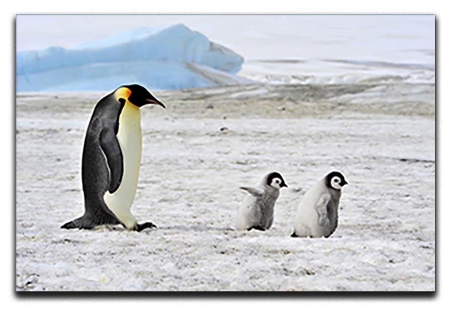 Emperor Penguin with two chicks in Antarctica Canvas Print or Poster - Canvas Art Rocks - 1